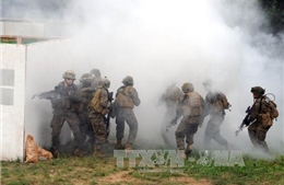 Moskva tố cáo Kiev có chiến lược đối đầu lâu dài với Nga